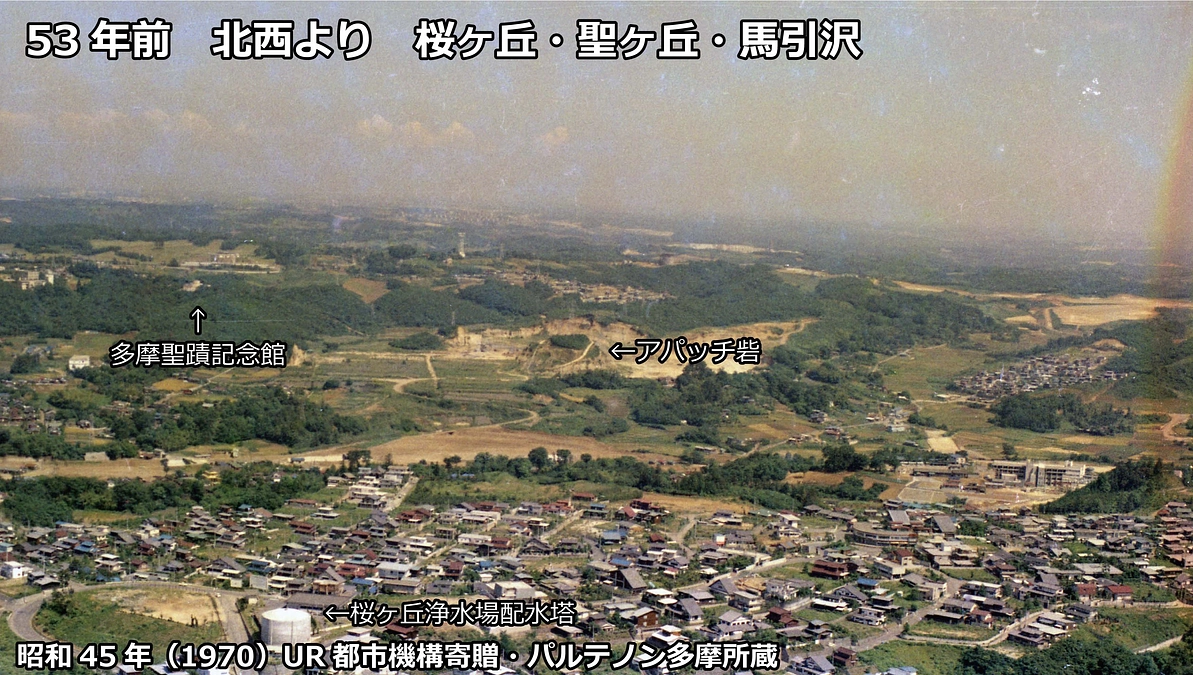 桜ぽるぼろんと聖蹟桜ヶ丘の由来（1970年の写真も）