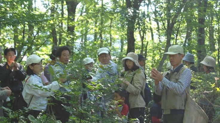 日本の森を守り、国産植物による高品質芳香商品の開発を行います