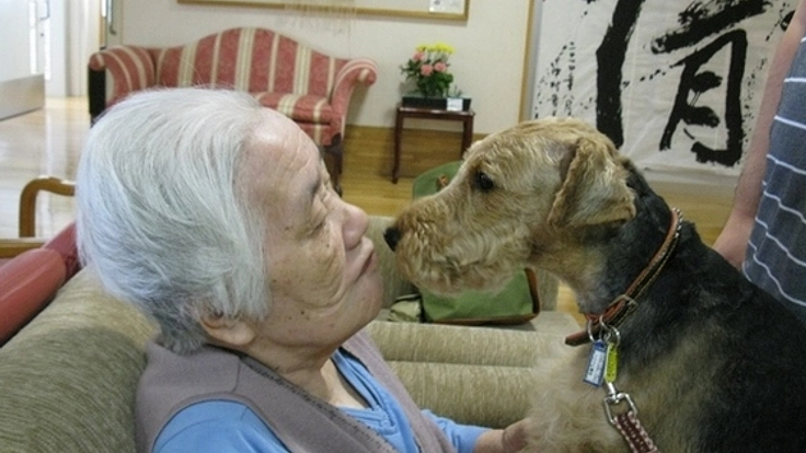 保健所にいる犬をセラピードッグとして育成し、活躍させたい
