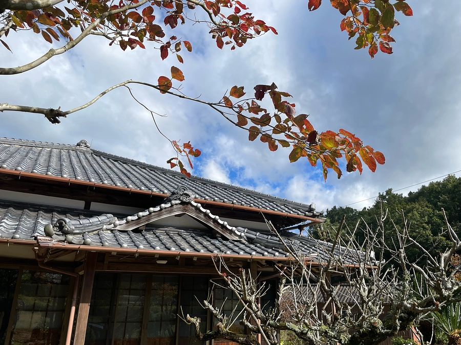 クラファン開始から7日が経過しました