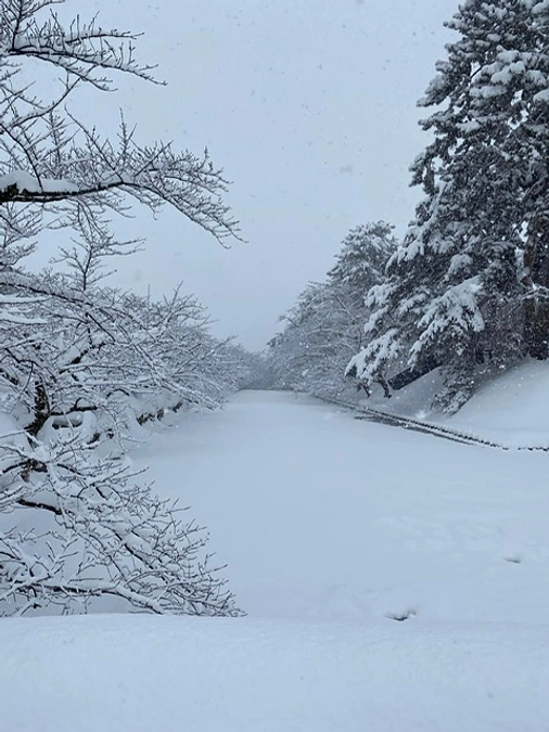 一部の金魚ねぷた撤去などのお知らせ