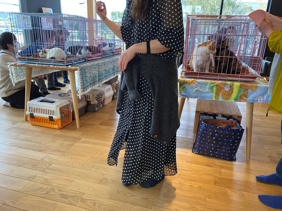 テレビ放送のお知らせ：3月31日(金)NHK総合 イブニング長崎18:10〜19:00