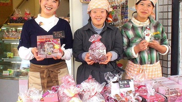 美容と健康を追求した”きぬはだプリン”のパッケージを制作！