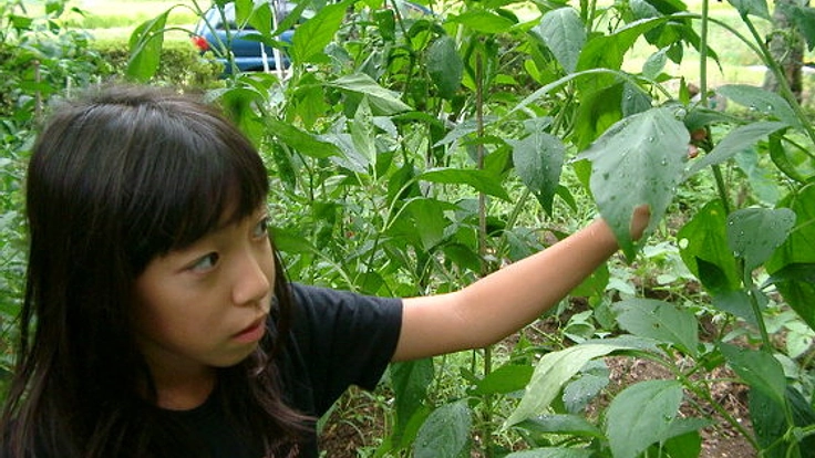 『自己肯定感』を育て直す情報誌『Roots』を立ち上げたい！