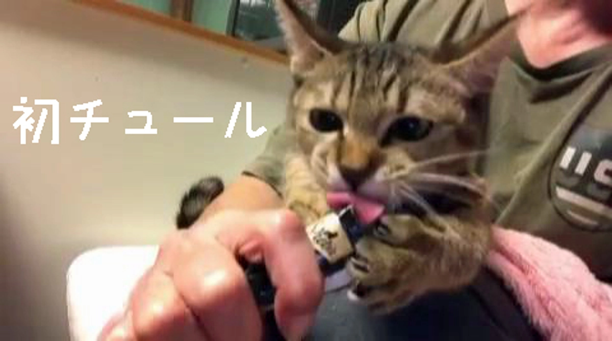 カラー外した動画！！