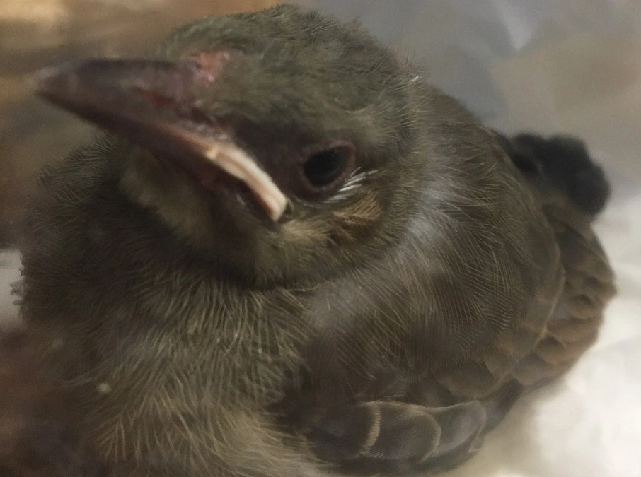 進捗状況のご報告