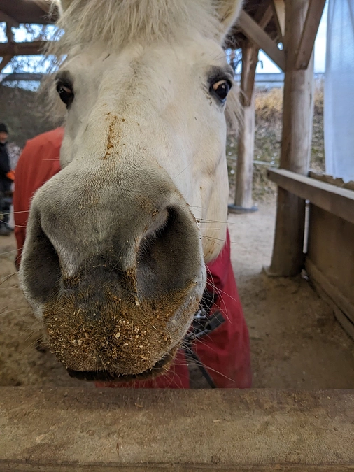 クラウドファンディング開始5日目！