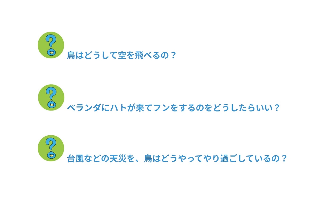 【サンプルQAご紹介！】「おとな野鳥相談コース」って？