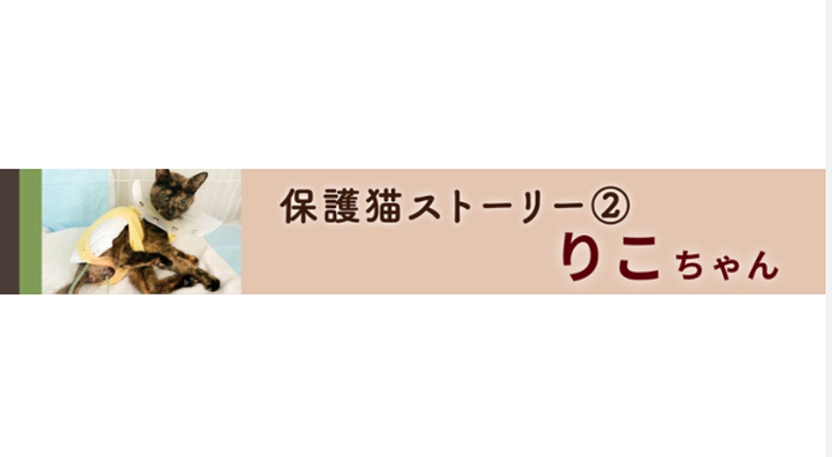 保護猫ストーリー リコちゃん