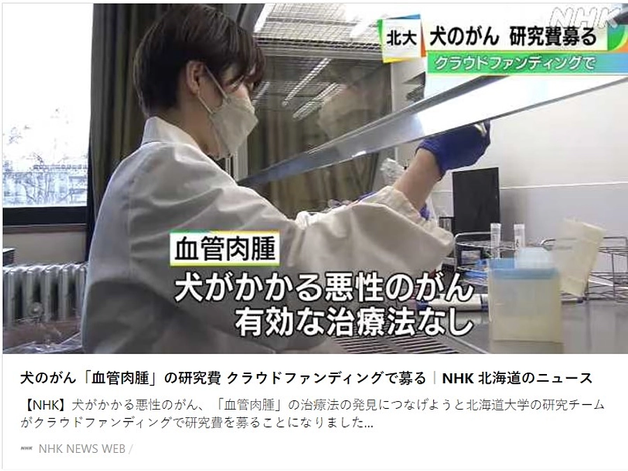 NHK ニュースにて紹介して頂きました！