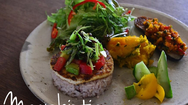 大切な人を食で守る健康食のメディア「マクロビ大好き」を作ろう