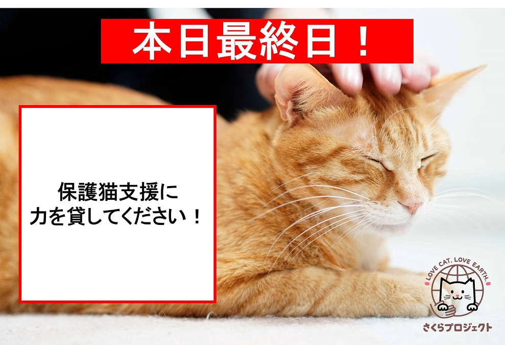 支援者様200人を超えました！