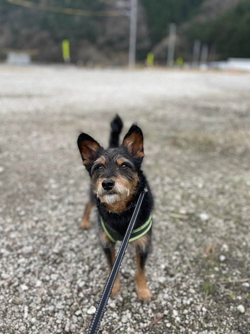 【スタッフ紹介】代表　藤掛裕子です！