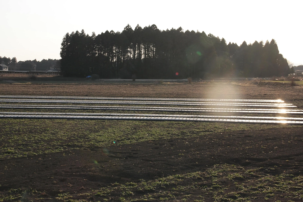 ご協力ありがとうございました！