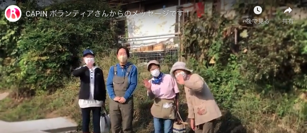 頑張ってくれているボランティアさんからのメッセージです！