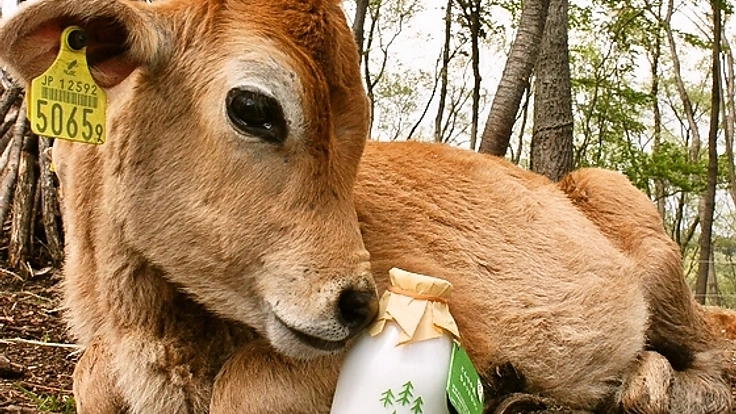 機材を改修し、震災で販売休止となった森林ノ牛乳を復活させたい