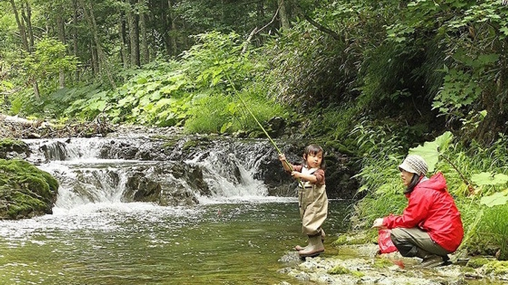北海道知床半島つけ根の森にツリーハウスをつくりたい！