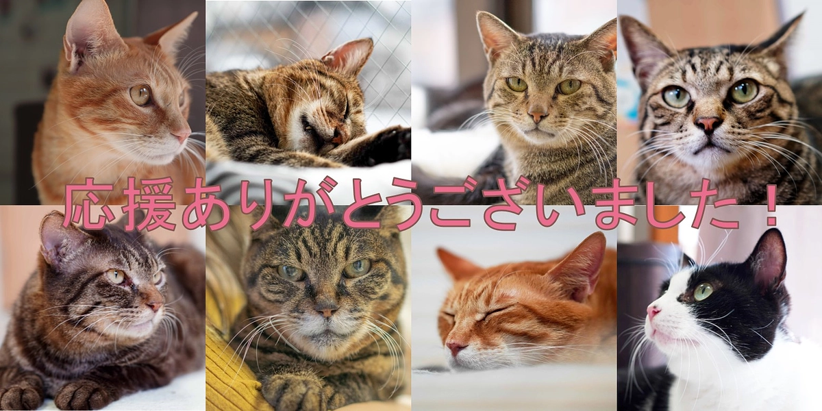 【御礼】応援ありがとうございました！