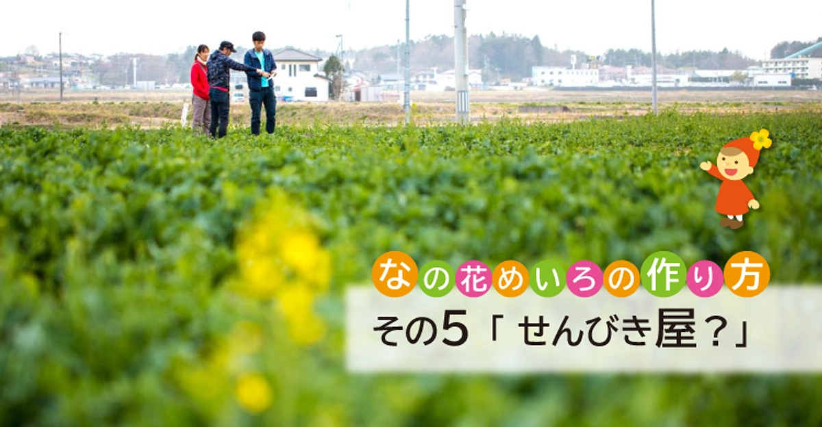 なの花めいろの作り方 その5「せんびき屋？」