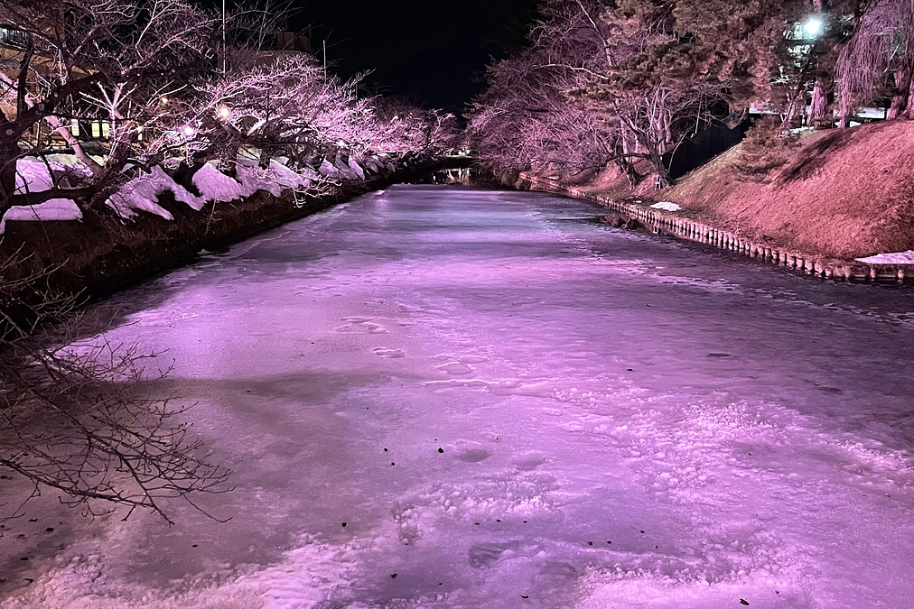 2022-23年度のライトアップは終了しました！