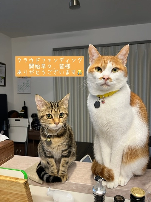 プロジェクト開始早々ありがとうございます！