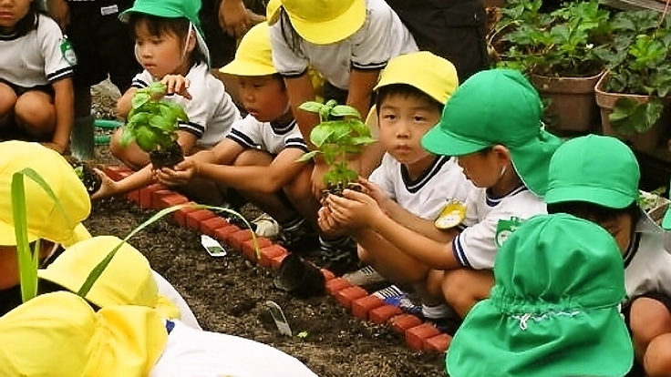 ハーブを植えて・育てて・収穫して考える、子供の食育活動！
