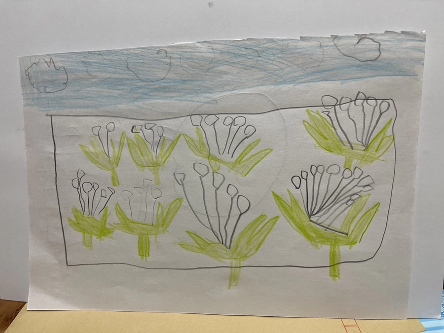 お米作りを通した子育ての挑戦