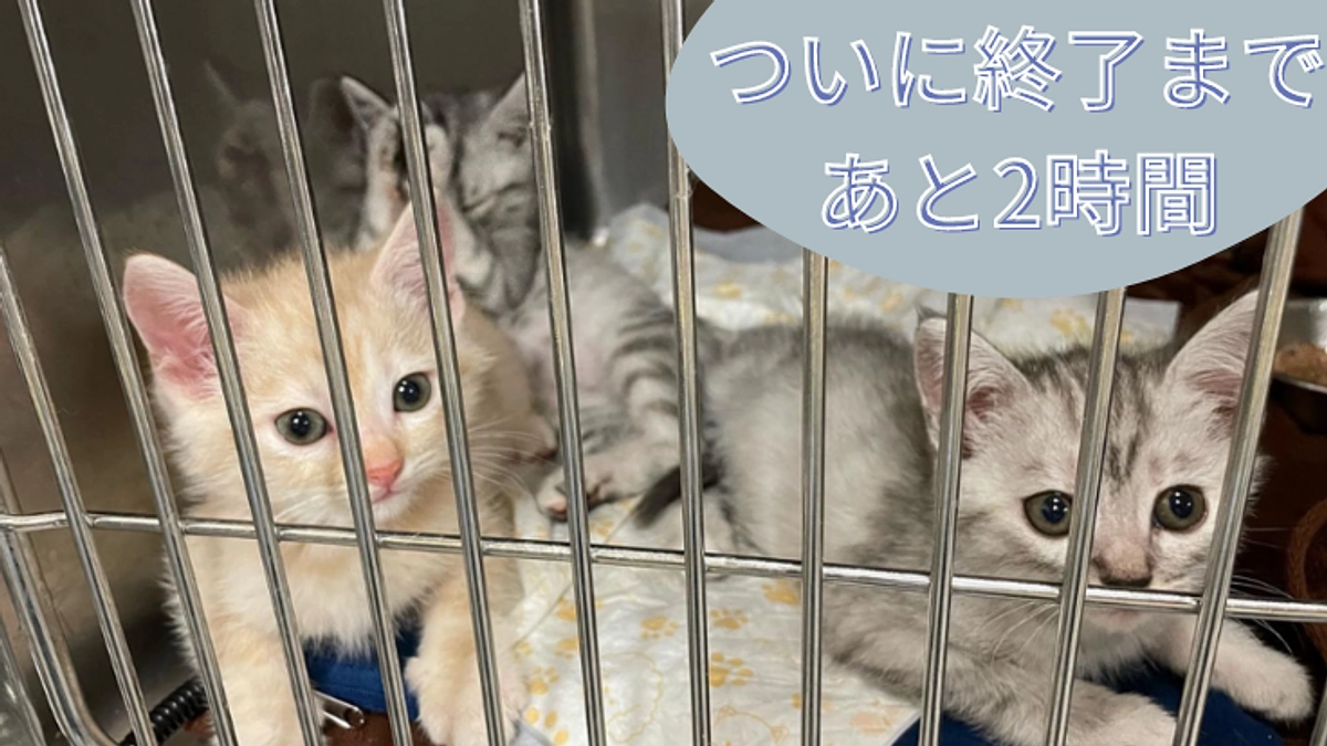 終了まであと2時間！最後のお願い