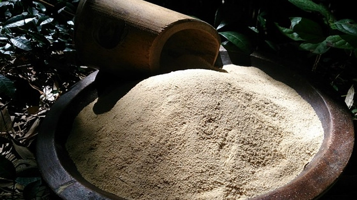 荒れた竹林を宝に変える発酵竹パウダー作り手・使い手倍増計画！