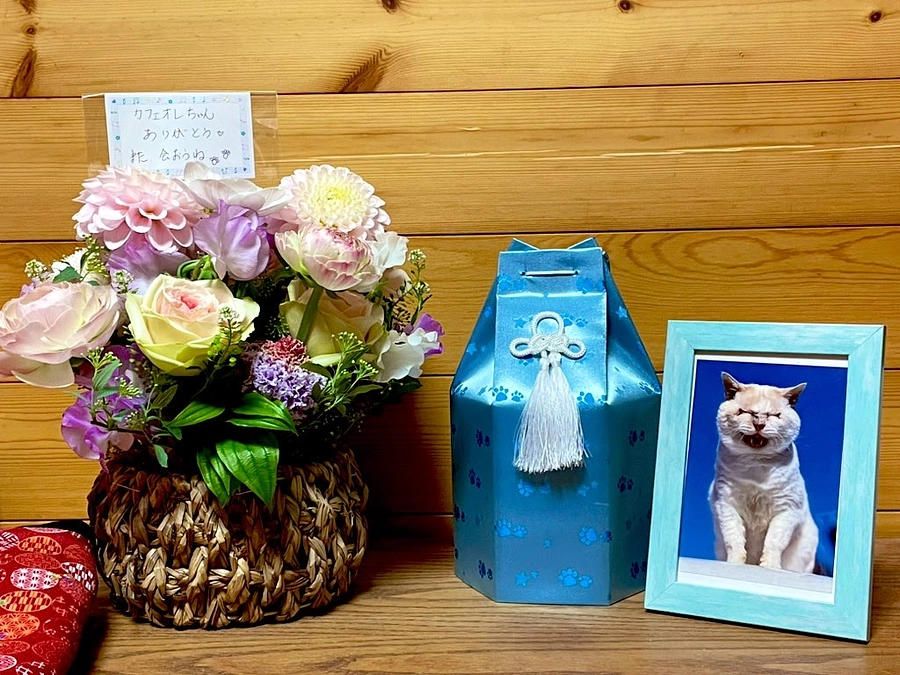 【27日、無事に見送りました】