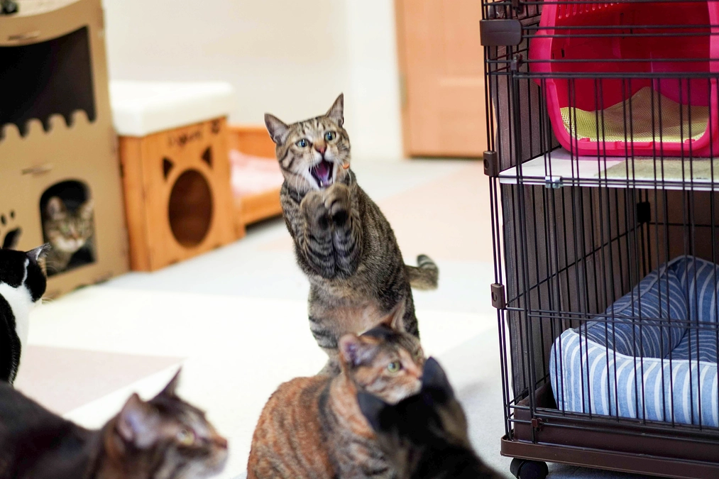 【お知らせ】 新コースをリリースしました！