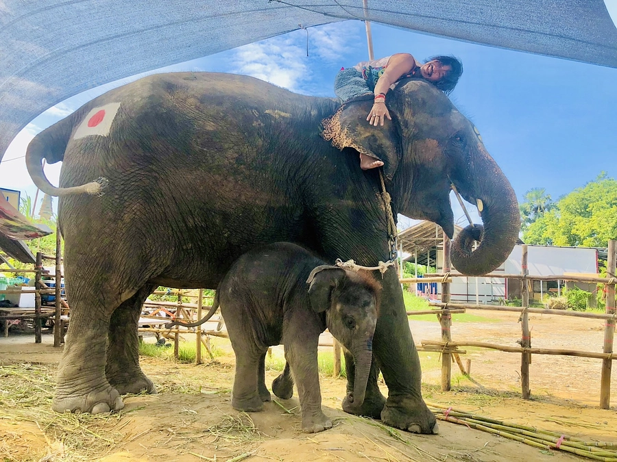 いよいよカウントダウン!!!