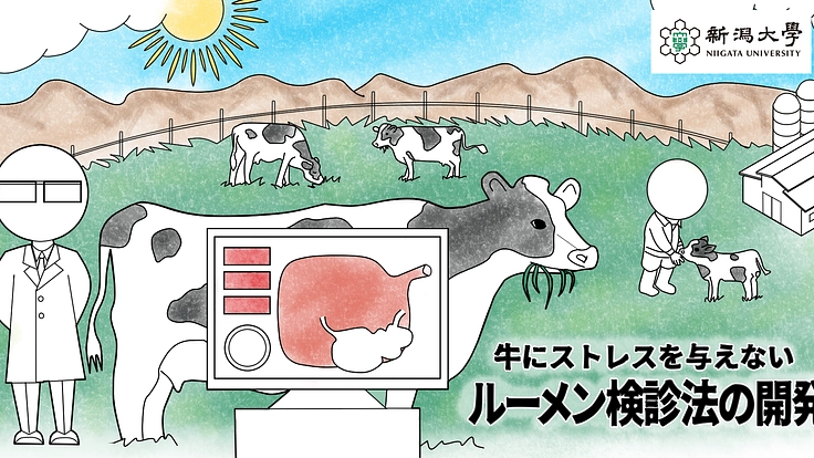 胃の検診による牛の負担を減らしたい!新ルーメン検診法実現へ!! 2枚目