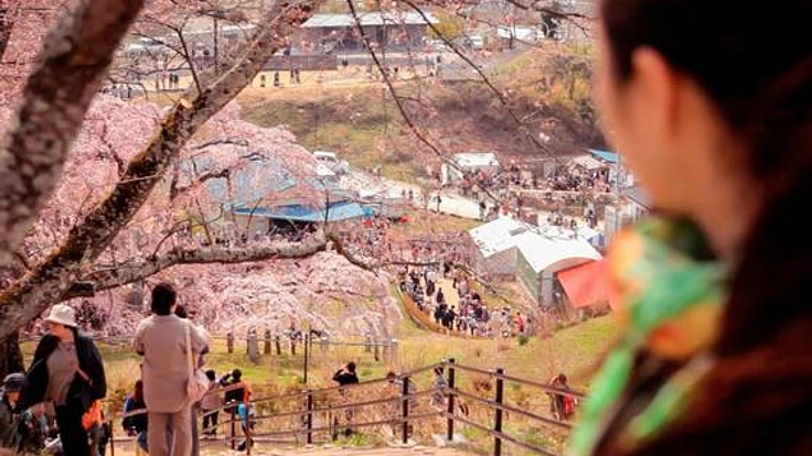 1/10Fukushimaをきいてみる庄内上映会に古波津陽監督を呼びたい