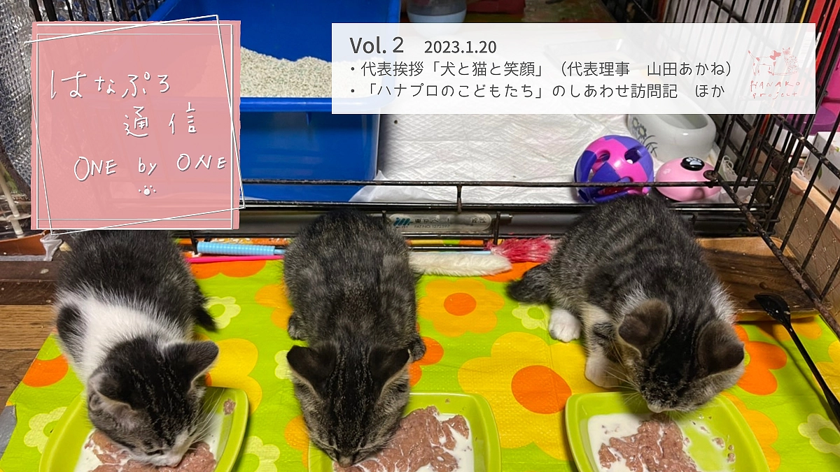 「ハナプロ通信 one by one」Vol.２　お届けします。