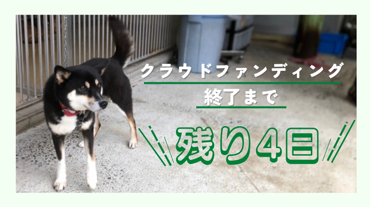 【残り4日】ボランティアさんからのメッセージ をお届けします!