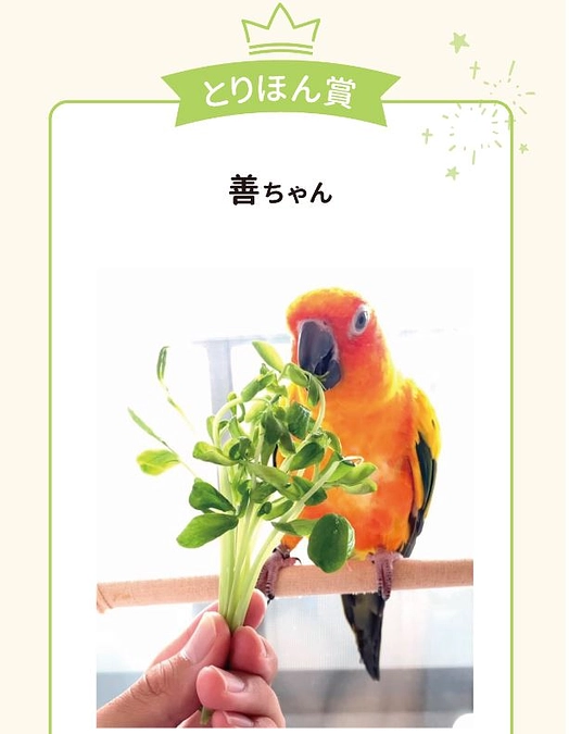 応援メッセージ寄稿者様のご紹介-2/ Now on sale／PANA様