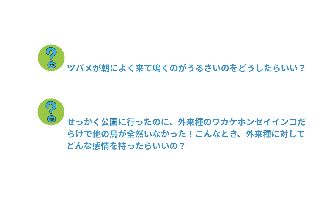 【サンプルQA＜その2＞】「おとな野鳥相談コース」って？