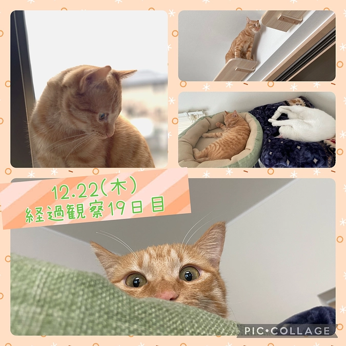 12/22（木）経過観察19日目😂