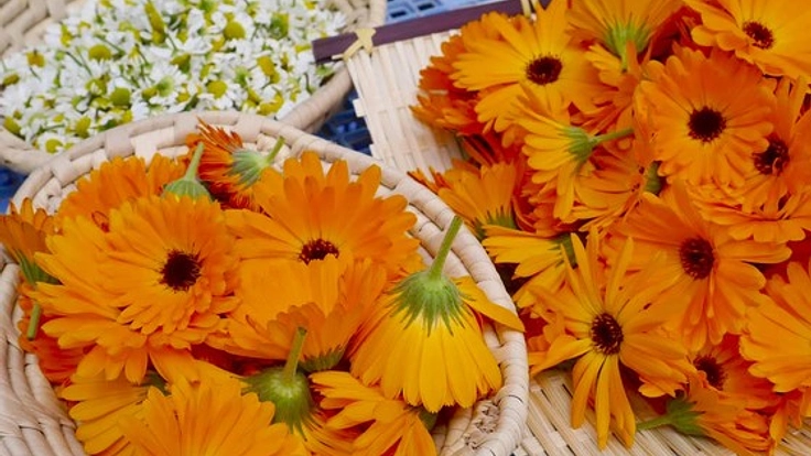 第2弾！発達がいを持つ方々が希望を持って働ける場を拡げたい！