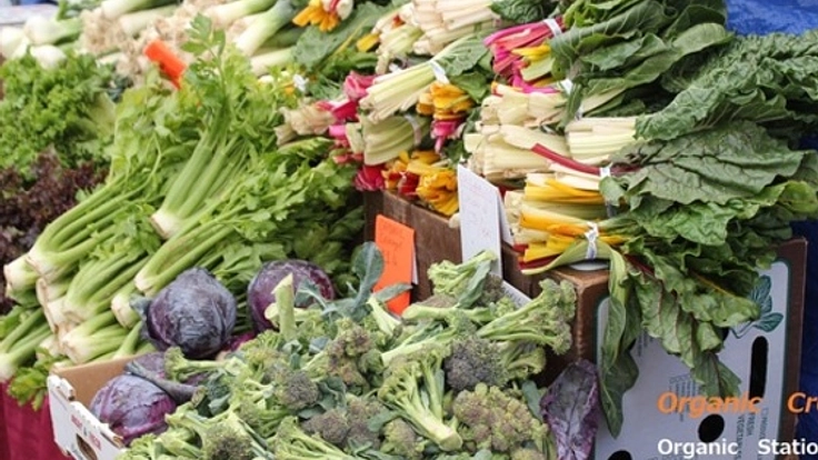 キャンペ－ンを実施して日本中にオーガニックの良さを広めたい！