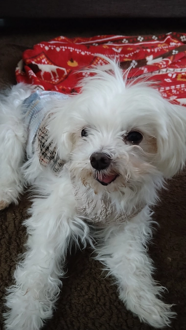 ３月に再度検査の予定です。