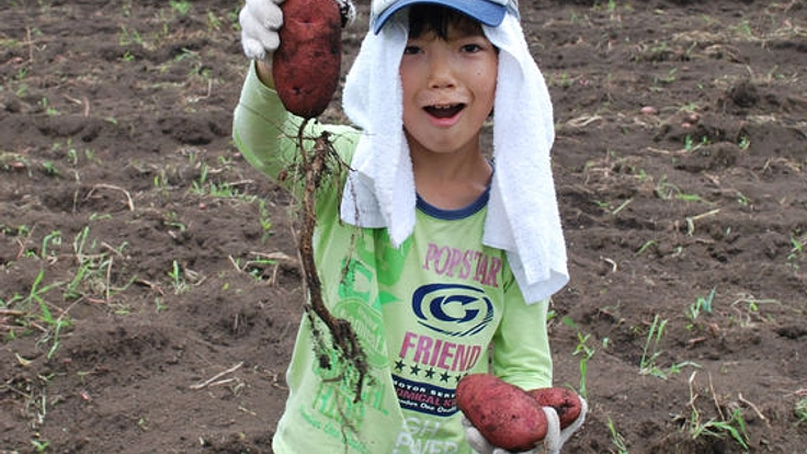 富士山の麓で子どもたちが楽しく遊べる農業公園をつくりたい