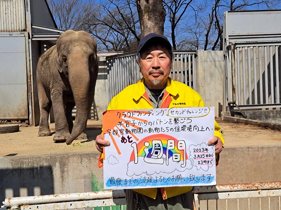 【ラストスパート！】プロジェクト終了まであと1週間！！