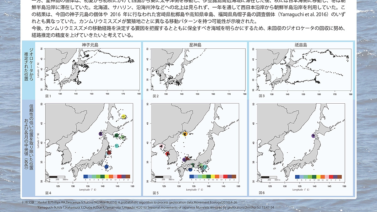 カンムリウミスズメはどこにいるの？