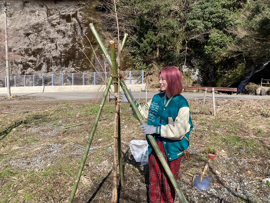 しだれ桜の記念植樹