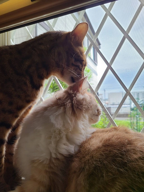 仲良しのふたりです