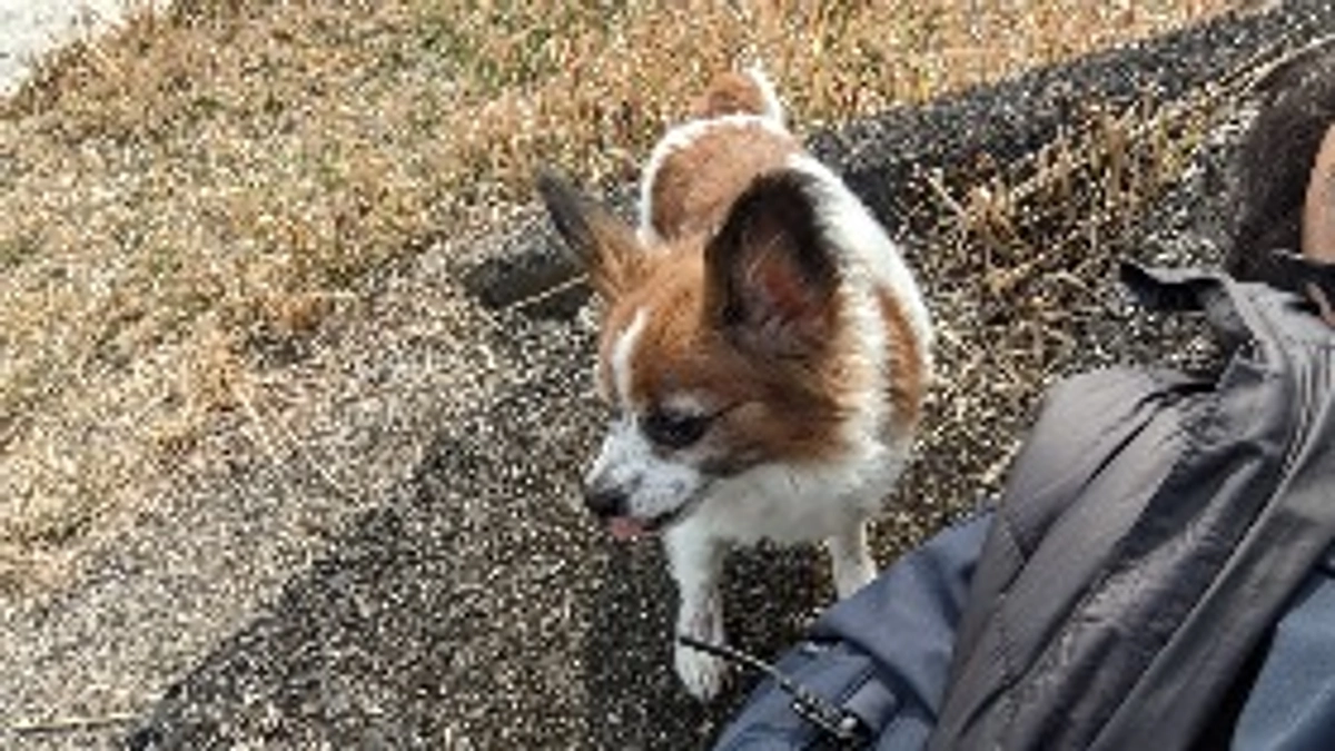 皆様のご声援が励みになっています！