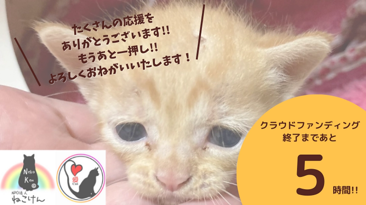 【残り5時間】ネクストゴール達成まであと一押し!! 