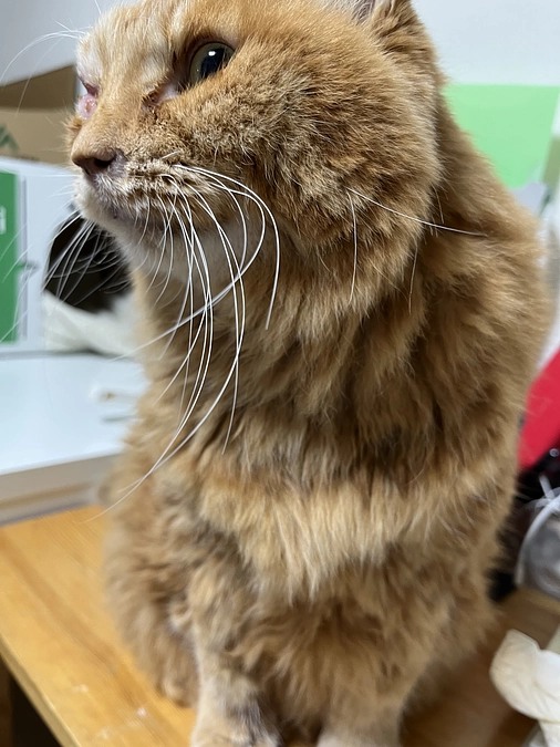 往診してもらいました。